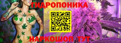 не бодяженный Будённовск